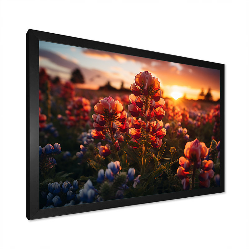 «Red Bonnets Field With Orange Sunset - Blue Bonnets», reproduction d'art sur toile FDP107240, H 30 po x l 40 po x P 1,5 po
