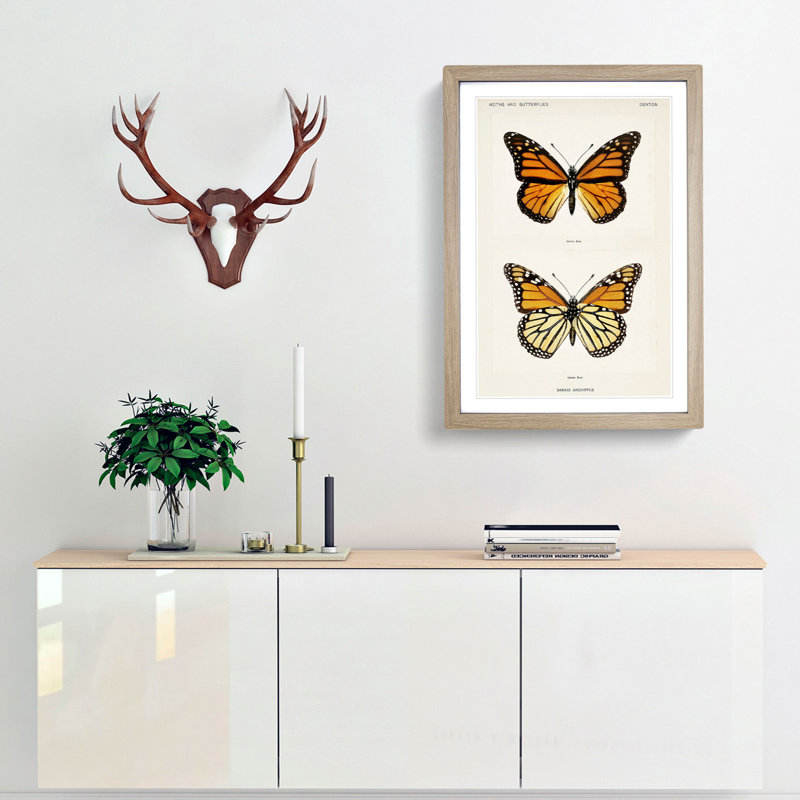 Monarch Butterfly by S.F. Denton - Picture Frame Graphic Art Print, 48cm H x 36cm W x 2cm D, Oak Framed