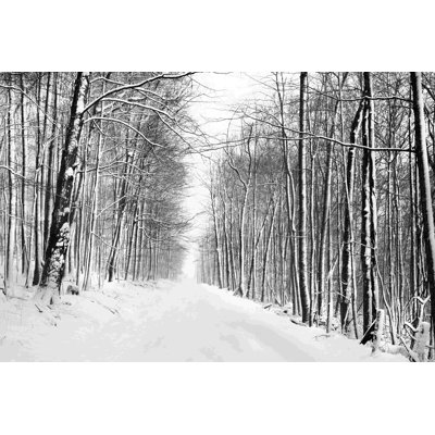 A Snowy Walk III