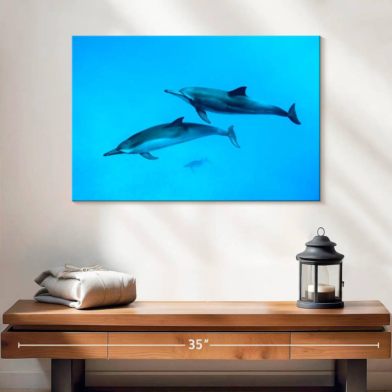 Brampt Maui Spinner Dolphins, 16" H x 24" W