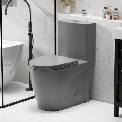 One Piece Toilet 1.1/1.60 Gpf, Siphonic Dual Flush 4/6lpf, Water-saving Elongated Comfort Height Floor Mounted, Soft Close Seat,1000 Gram Map Flushing -  Rizzon, W3192P277860