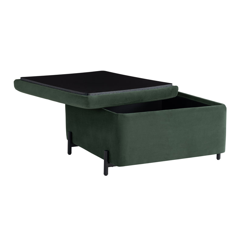Grand repose-pieds avec rangement 31,1 po Delton, Vert
