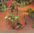Metal Plant Stand