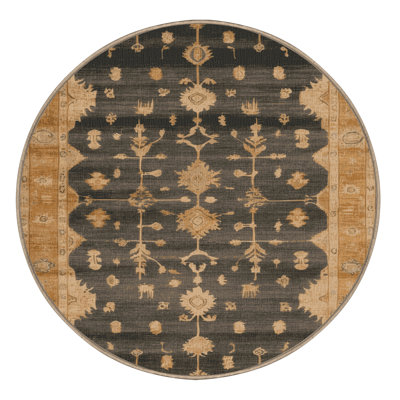 Machine Washable Overdyed Brown Area Rug
