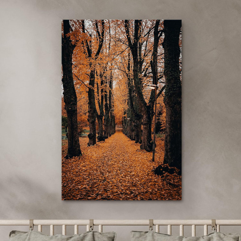 " Autumn Path Natureest "
