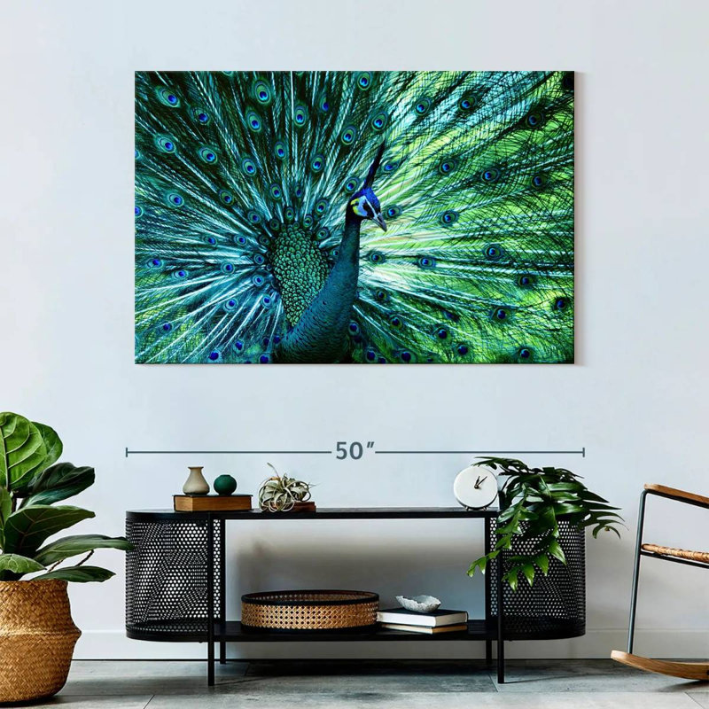 Elegant Peacock, 32" H x 48" W