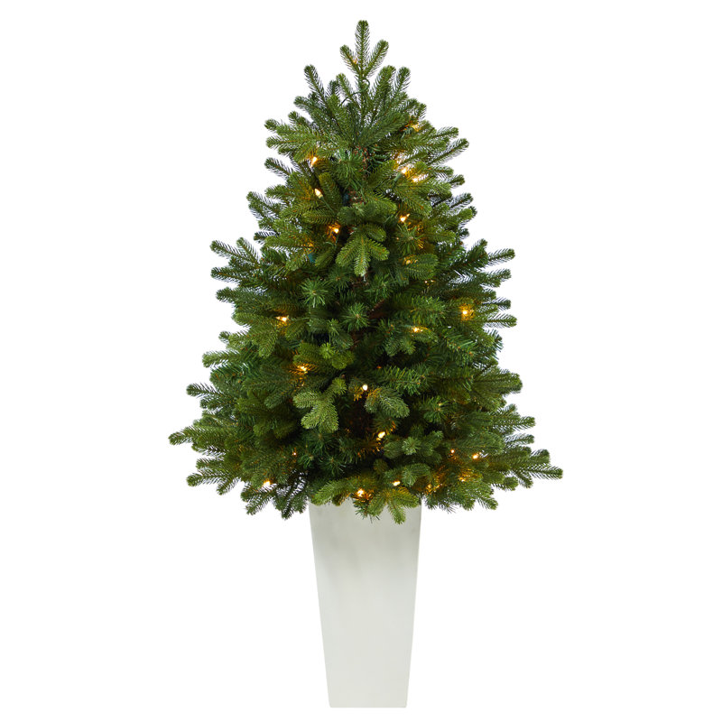 Washington 3.5' Green Artificial Christmas Tree with 50 Clear Lights