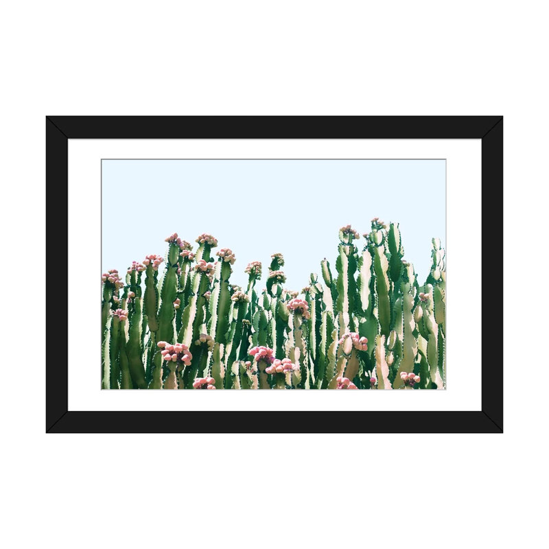 Cactus Blush - impression sur toile tendue, H 16 po x l 24 po x P 1 po, Papier beaux-arts encadré noir, Blanc