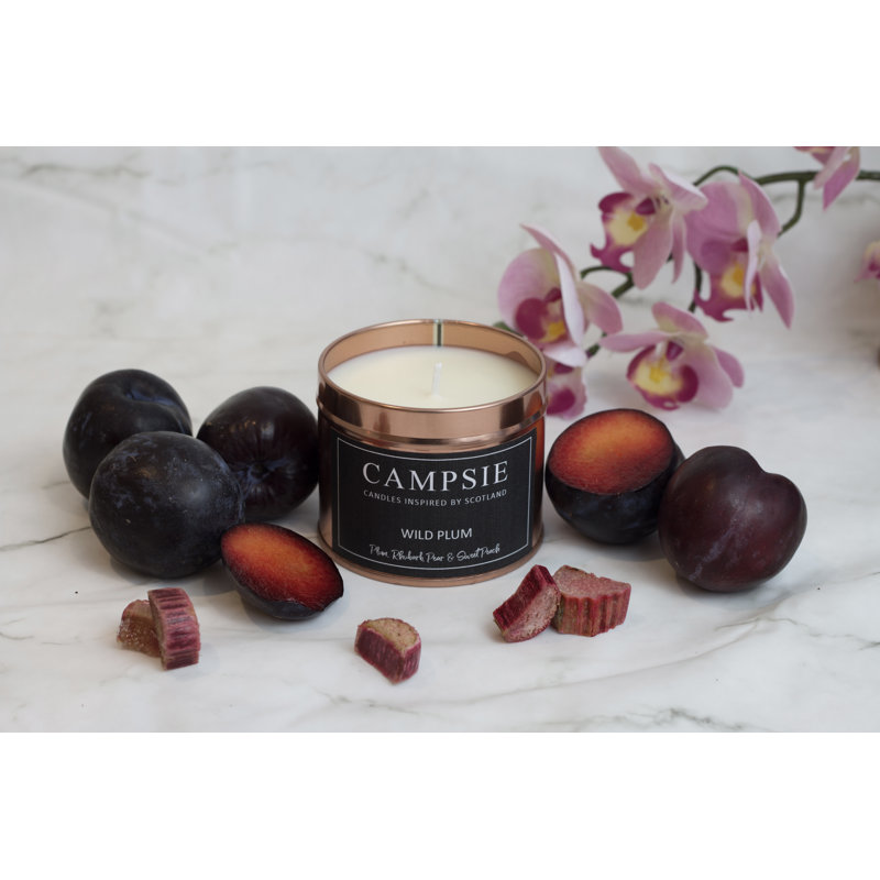 Wild Plum Scented Jar Candle