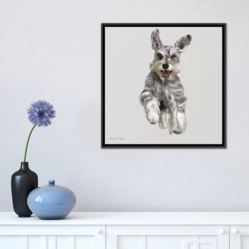 «Schnauzer» par Vicki Newton, reproduction de photo sur toile tendue, Toile avec cadre noir, Pas de tapis