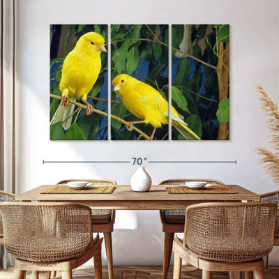 Canari Brampt