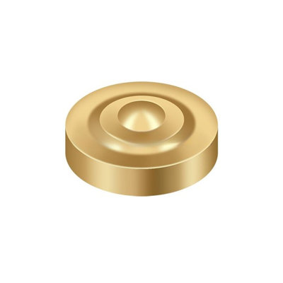 892B801BE6644CDA9254A393FD04FCEE Screw Cover, Round, Dimple, 1" Diam in PVD Polished Brass