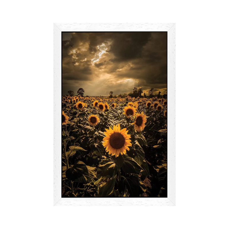 Sunflowers 1 Piece Wall Art on Canvas, 101.6 cm H x 66.04 cm W, White Floater Framed