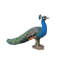 Statue peacock oiseau-petit