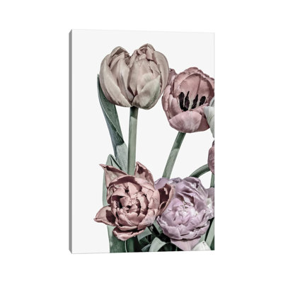 Tulips Bright II by Design Fabrikken - Wrapped Canvas Gallery-Wrapped Canvas Giclée