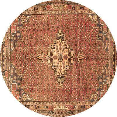 Oriental Indoor Rug