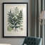 Collection Ferns VII - reproduction de cadre photo-1709782161-1709782160