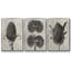 Blossfeldt Botanical IV 3 pièces-97757546-97757545