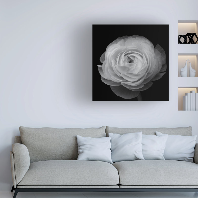 Contemporary, 24" W x 24" H
