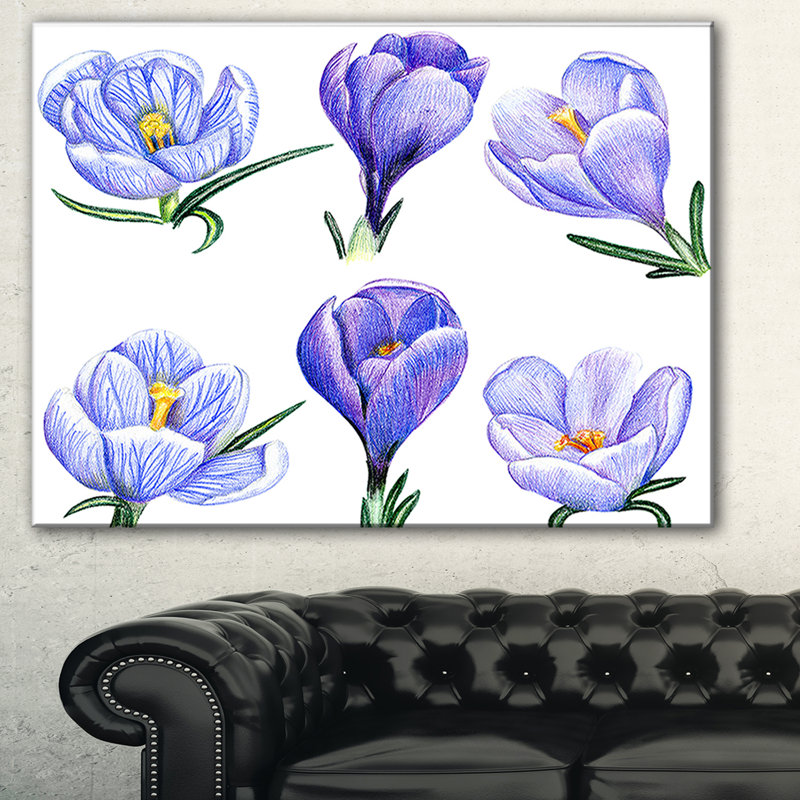 " Hand-drawn Crocuses ", 12" H x 20" W x 1" D