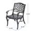 Chaise avec accoudoirs Phoenix (ensemble de 2)-1103591487