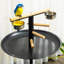 Meuble de jeu Bird