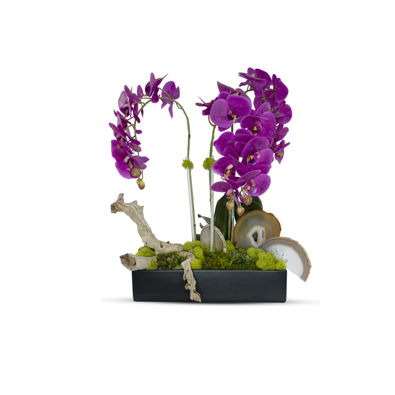 Agate, plaques d'orchidées en pot, Fuchsia