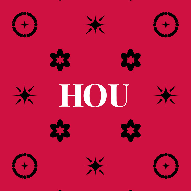 Oreiller soufflé et fermé en polyester filé Houston Basketball 20 po x 14 po, Rose / blanc / noir 