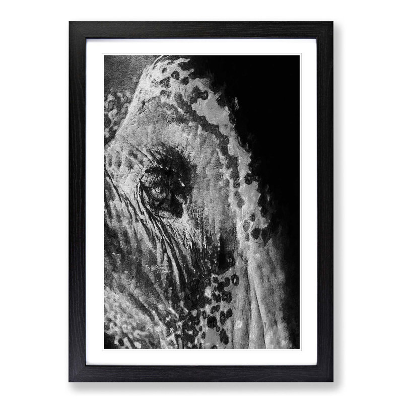 Watchful Elephant - Picture Frame Painting Print, Black Framed, 48cm H x 36cm W x 2cm D
