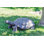Animals Weather Resistant Water Resistant UV Resistant Polyresin Garden Statue