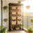 Stylish Shelf,Spacious Bookcase,Modern Style Bookshelf