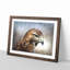 Hawk - Picture Frame Painting Print-56712030-56712031
