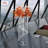 Acrylic Backdrops & Signs-98073705