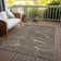  Machine Washable Indoor/Outdoor Chayden ACN1048 Rug