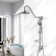 Rain Handheld Shower Head 2.5 GPM GPM