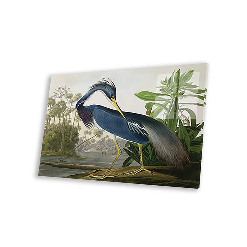 «Louisiana Heron» par John James Audubon - impression non encadrée, H 16 po x l 24 po x P 0,25 po