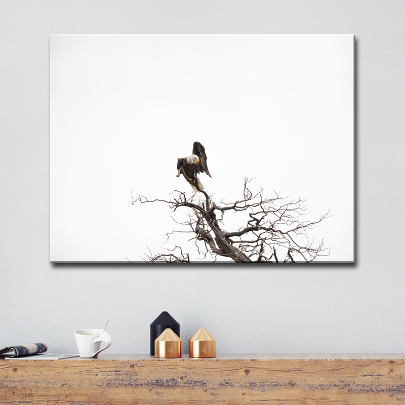 Pygargue à tête blanche par Bartlett Hayes - reproduction de photo sur toile, H 30 po x l 40 po x P 1,5 po