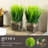 7.87 " H Faux Onion Grass in Glass Vase