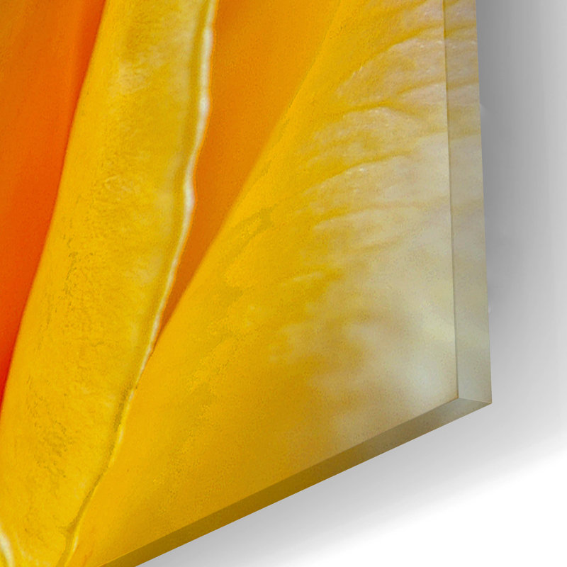 " Three " by SD Smart, 12" H x 16" W x 0.13" D