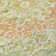 Machine Washable Indoor/Outdoor Claudian ACN1236 Aloe Rug