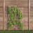 Set of 2 Garden Arch Trellis - Fencing for Climbing Vines, Roses, Potted Plants, and Flowers-46774440