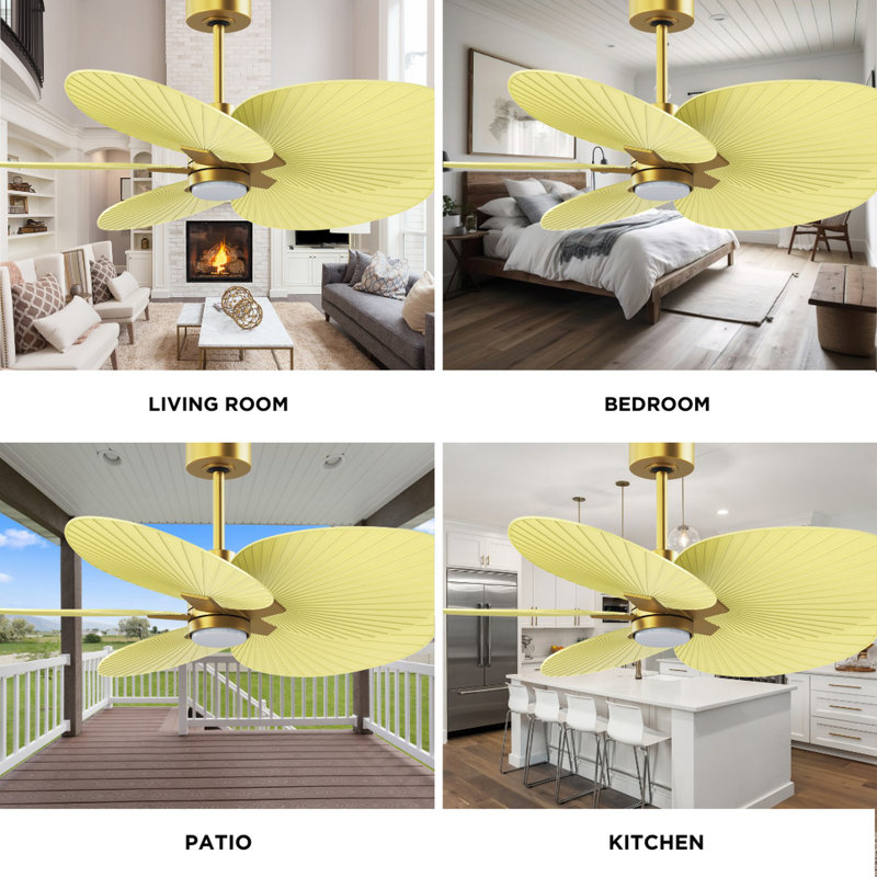 Alessandra Tropical - Five Blade Ceiling Fan - Integrated LED -Matte Black Finish -Light Blue Blades, Brushed Brass