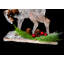 PVC No Holiday Shaped Ornament-380730530