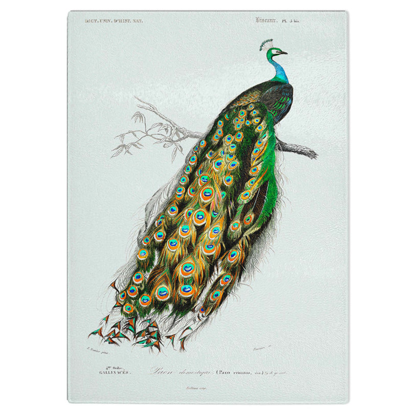 Glass indian Peacock by Charles D' Orbigny Chopping Board, 28.5 cm W x 20 cm L