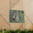 Funny Baboon Outside Wall Art