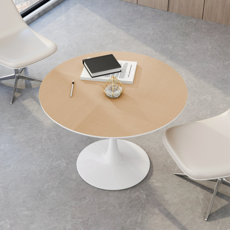 White Round Table, Modern Dining Table, MDF Top And Steel Base Tulip Round Kitchen Table, Mid Century Coffee Table For Living Room 24 Inch, Oval Dining Table (PRIME BIG DEAL DAYS)