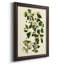 Olive Greenery V - reproduction de cadre photo sur toile-1147002095