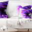 Coussin décoratif imprimé floral mauve à motif de coquelicots