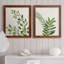 Botanical Wash I - ensemble de 2 reproductions-463140521-463140522-463140523