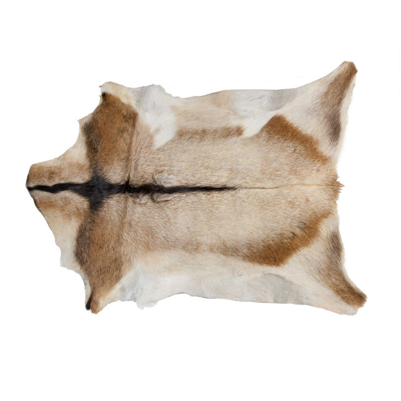 Tapis brun clair / blanc Warke, Nouveauté 2 pi x 3 pi